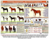 Комплект плакатов "Служебное коневодство" - fgospostavki.ru - Донецк