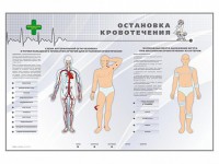 Электрифицированный стенд "Остановка кровотечения" - fgospostavki.ru - Донецк