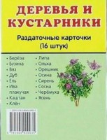 Раздаточные карточки "Деревья и кустарники" - fgospostavki.ru - Донецк