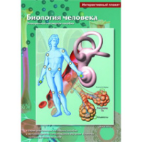 Интерактивные плакаты. Биология человека. Программно-методический комплекс - fgospostavki.ru - Донецк