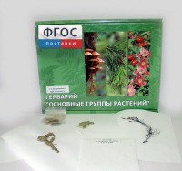 Гербарий "Основные группы растений" (52 листа) - fgospostavki.ru - Донецк