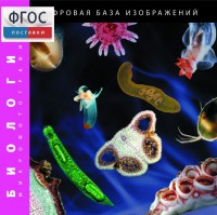 Биология. Микрофотографии. (Цифровая база изображений) - fgospostavki.ru - Донецк