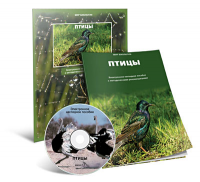 Электронное наглядное пособие «Птицы» - fgospostavki.ru - Донецк