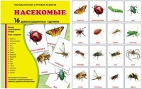 Демонстрационные карточки "Насекомые" - fgospostavki.ru - Донецк