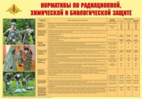 Плакат "Нормативы по радиационной, химической и биологической защите" - fgospostavki.ru - Донецк