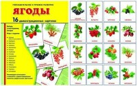 Демонстрационные карточки "Ягоды" - fgospostavki.ru - Донецк