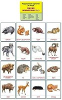 Раздаточные карточки "Дикие животные (1)" - fgospostavki.ru - Донецк