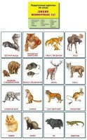 Раздаточные карточки "Дикие животные (2)" - fgospostavki.ru - Донецк