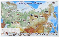 Магнитные карточки "Животные" - fgospostavki.ru - Донецк