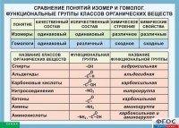 Таблица. Сравнение понятий изомер и гомолог. Функциональные группы классов органических веществ. - fgospostavki.ru - Донецк