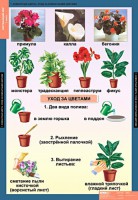 Комплект таблиц. Окружающий мир 1 класс. - fgospostavki.ru - Донецк