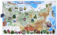 Магнитные карточки "Растения" - fgospostavki.ru - Донецк