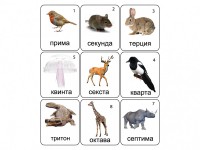 Набор магнитных карточек по музыке "Животные" (9 штук) - fgospostavki.ru - Донецк
