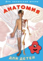 DVD "Анатомия для детей" - fgospostavki.ru - Донецк