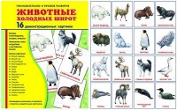 Демонстрационные карточки "Животные холодных широт" - fgospostavki.ru - Донецк