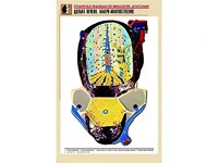 Рельефная таблица "Долька печени. Макро-микростроение" (формат А1, матовое ламинирование) - fgospostavki.ru - Донецк