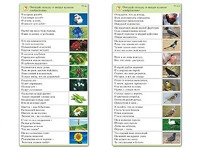 Комплект карточек (10) "Обучающий калейдоскоп. Природа" - fgospostavki.ru - Донецк