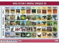 Таблица демонстрационная "Почвы, растения и животные природных зон" (винил 70*100) - fgospostavki.ru - Донецк