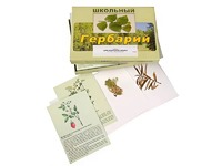 Гербарий "Для начальной школы" (30 видов, с иллюстрациями) - fgospostavki.ru - Донецк