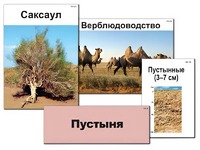 Модель-аппликация "Природные зоны России" (ламинированная) - fgospostavki.ru - Донецк