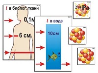 Модель-аппликация "Явление радиоактивности" (ламинированная) - fgospostavki.ru - Донецк