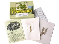 Гербарий "Водоросли. Грибы. Лишайники" (раздаточный) - fgospostavki.ru - Донецк