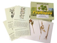 Гербарий "Систематика растений. Семейство Бобовые. Злаки" (раздаточный) - fgospostavki.ru - Донецк