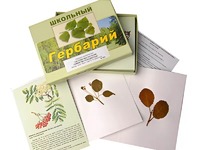 Гербарий "Систематика растений. Семейство Розоцветные" (раздаточный) - fgospostavki.ru - Донецк