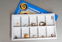Коллекция "Раковины моллюсков" - fgospostavki.ru - Донецк