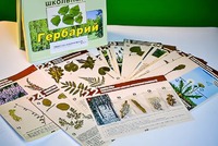 Гербарий к курсу основ общей биологии - fgospostavki.ru - Донецк
