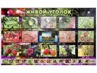 Комплект оборудования "Живой уголок" (растения) с тифлопереводом и сурдокомментариями - fgospostavki.ru - Донецк