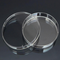 Чашка Петри стеклянная с крышкой 100х20 - fgospostavki.ru - Донецк