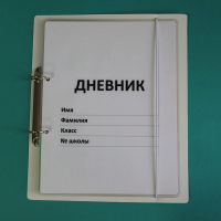 Дневник школьника (с полным набором карточек) - fgospostavki.ru - Донецк