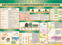 Таблица "Биотические взаимоотношения организмов" (100х140 сантиметров, винил) - fgospostavki.ru - Донецк