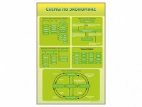 Стенды "Схемы по экономике" - fgospostavki.ru - Донецк