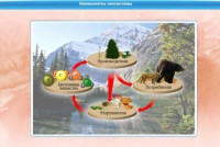 Интерактивные курсы. Биология 7 класс. Базовый. - fgospostavki.ru - Донецк