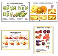Плакаты ПРОФТЕХ "Ассортимент овощных культур" (12 пл, винил, 70х100) - fgospostavki.ru - Донецк