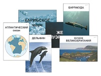 Модель-аппликация "Океаны. Знакомство" (ламинированная) - fgospostavki.ru - Донецк