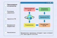 Интерактивные курсы. Информатика 10 класс . Базовый. - fgospostavki.ru - Донецк
