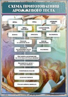 Стенд "Схема приготовления дрожжевого теста" - fgospostavki.ru - Донецк