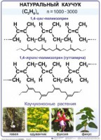 Комплект демонстрационных таблиц по химии "Полимеры" (комплект 12 таблиц) - fgospostavki.ru - Донецк