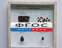 Коллекция энтомологическая "Примеры защитных приспособлений у насекомых" - fgospostavki.ru - Донецк