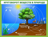 Стенд "Круговорот веществ" - fgospostavki.ru - Донецк