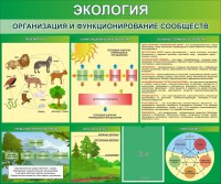 Стенд "Экология. Организация и функционирование сообществ" - fgospostavki.ru - Донецк