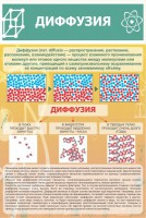 Стенд "Диффузия" - fgospostavki.ru - Донецк