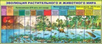 Стенд "Эволюция растительного и животного мира" - fgospostavki.ru - Донецк