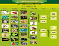 Стенд "Систематика животных" - fgospostavki.ru - Донецк