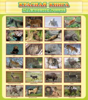 Стенд "Красная книга - млекопитающие" - fgospostavki.ru - Донецк