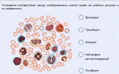 Интерактивные курсы. Биология 11 класс. Расширенный. - fgospostavki.ru - Донецк