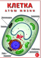 DVD "Клетка - "атом жизни" - fgospostavki.ru - Донецк